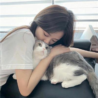 家族情仇